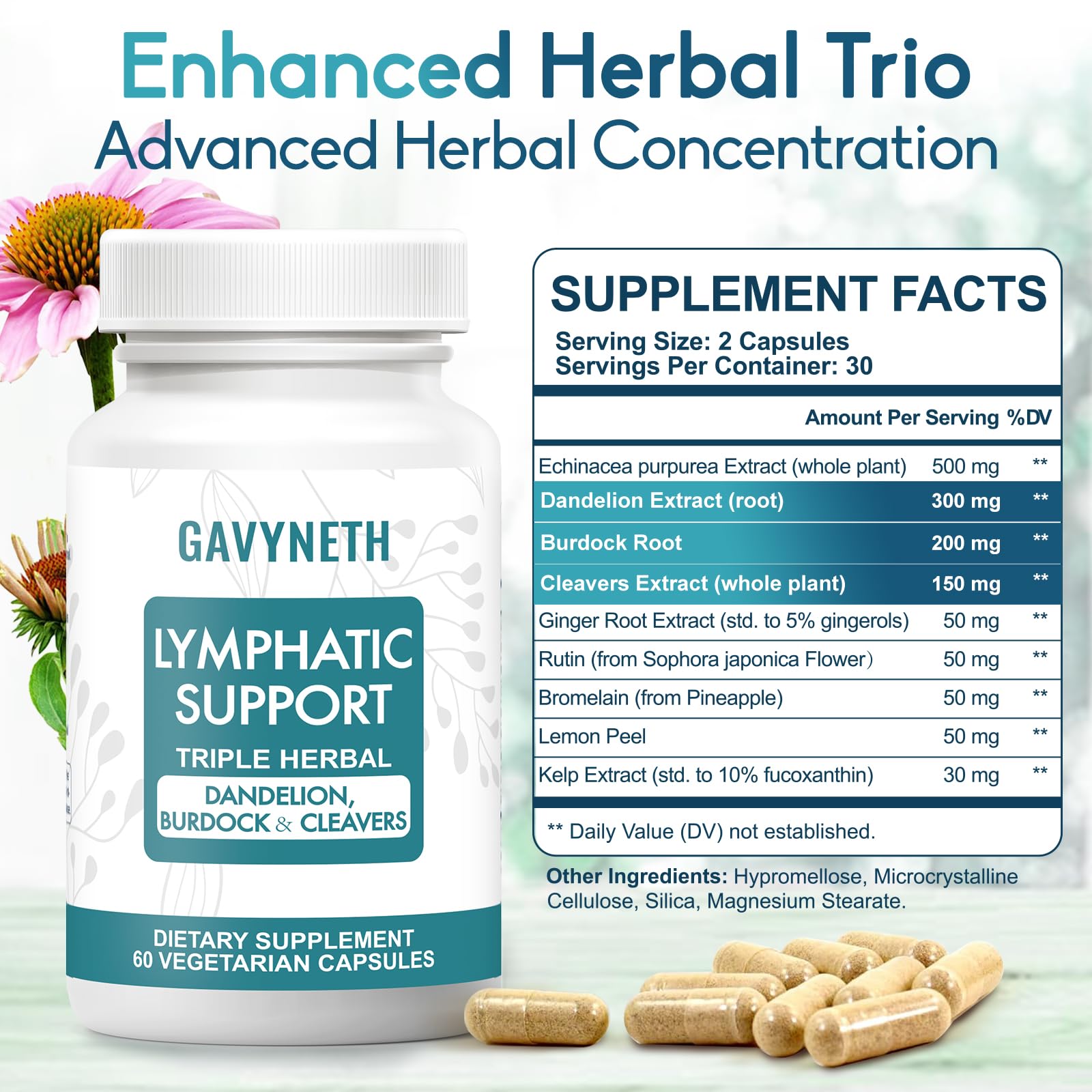 GAVYNETH Échinacée, Pissenlit et Bardane — soutien naturel potentiel du drainage lymphatique.