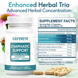 GAVYNETH Échinacée, Pissenlit et Bardane — soutien naturel potentiel du drainage lymphatique.