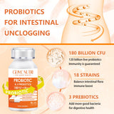 GDMENUTRI Probiotiques, libération retardée atteignant l'intestin pour efficacité potentielle.