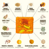 GEM Daily Bite : produit vegan et sans gluten pour divers régimes.