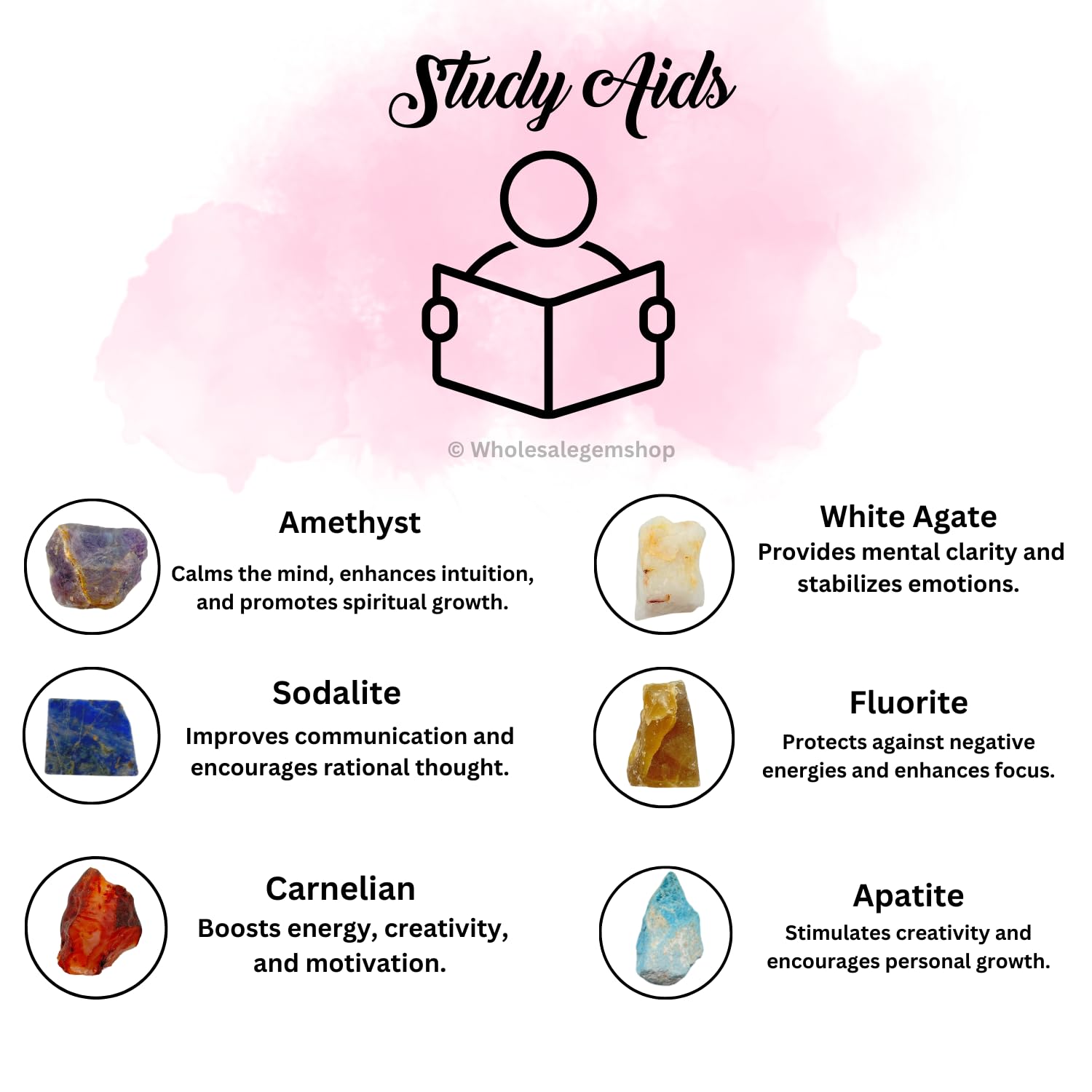 GEMSCITE cornaline: énergie et motivation pour rester engagé dans l'étude