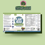 Genceutic Naturals Plant Head GLP-1, verre de préparation smoothie prêt à savourer.