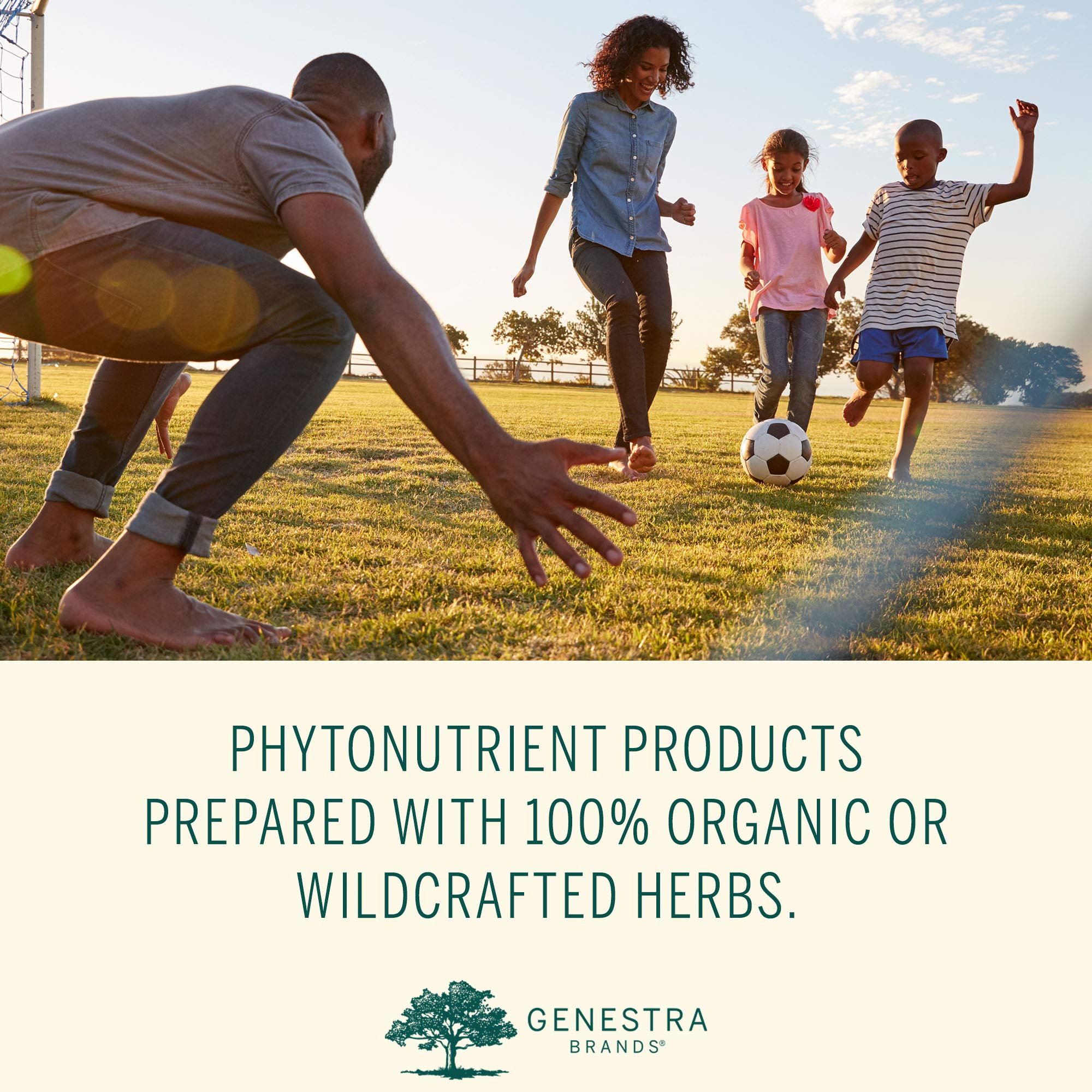 Genestra Phyto Greens formule carvacrol: huile d'origan intégrée.
