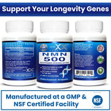Genex Formulas NMN – Dose quotidienne simple à suivre