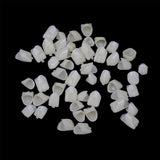 Geodurn couronnes factices dentaires, aspect blanc réaliste pour essais