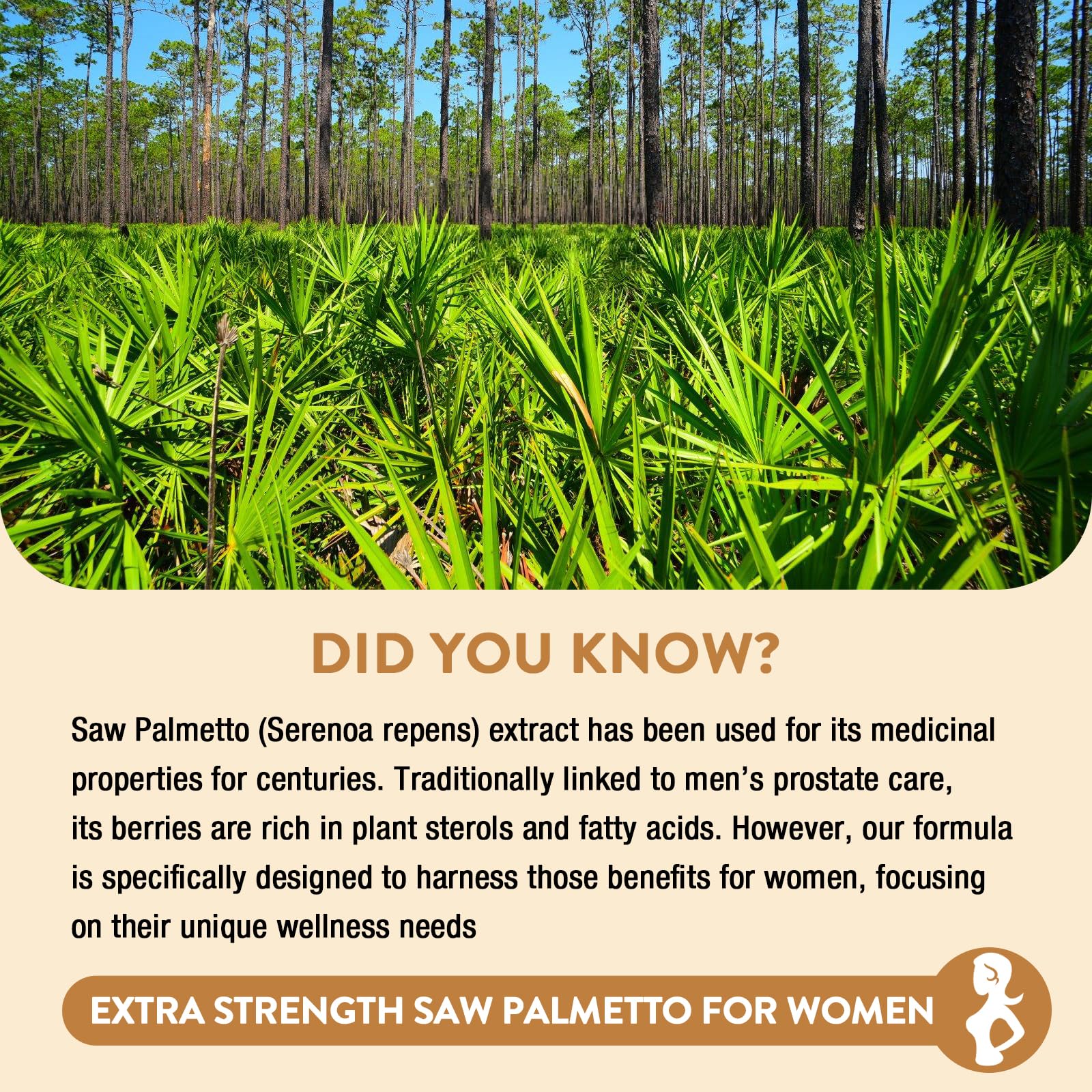 Ingrédients clés Gesundgeist Saw Palmetto pour cheveux et peau.