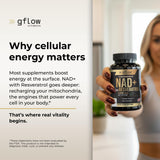 Gflow NAD liposomal, vue d’ensemble sur l’étiquette et la concentration.