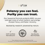 Gflow résveratrol extrait knotweed japonais, antioxydant puissant pour la vitalité.