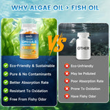 Équilibre DHA EPA 2-1 avec GGMMUU Omega3 pour énergie