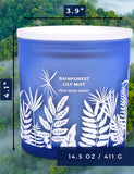 Ambiance detente GIFTAWAY ideale pour meditation et relaxation.