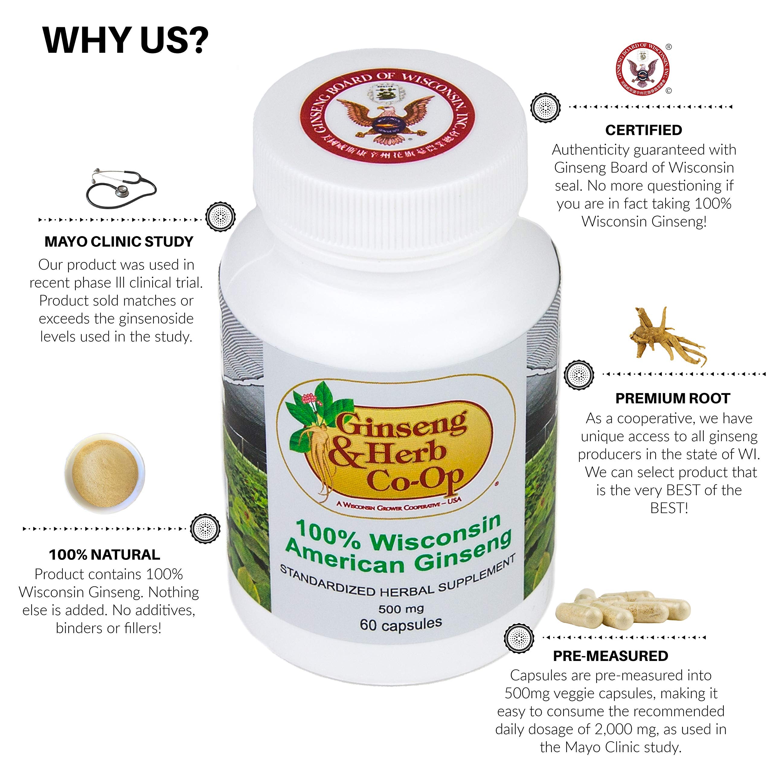 Ginseng & Herb Co-Op – etiquette Panax Quinquefolius, traçabilité et authenticité