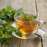 GLDNT feuilles thé vert bio sèches pour infusion délicate et aromatique