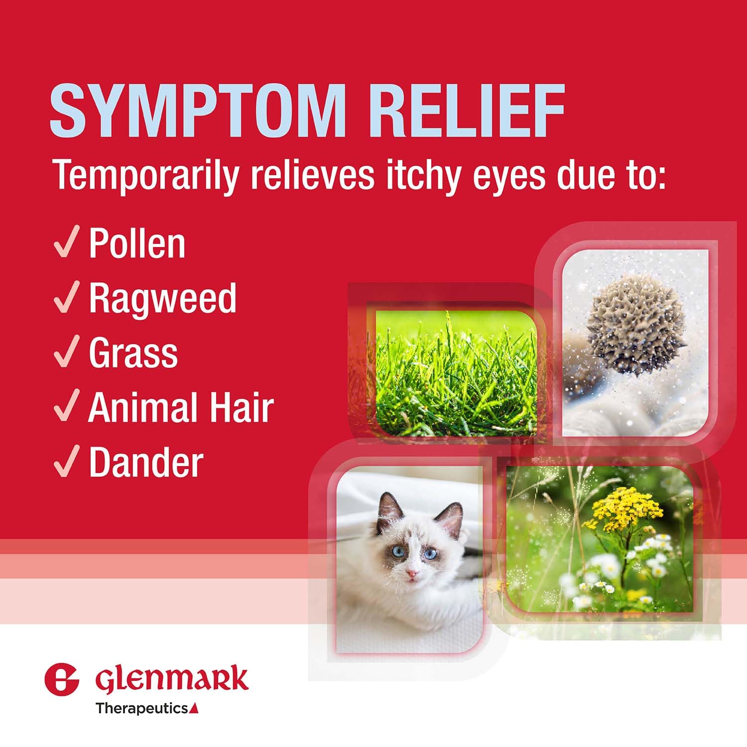 Pack double Glenmark Therapeutics — solution pratique pour maison et voyage