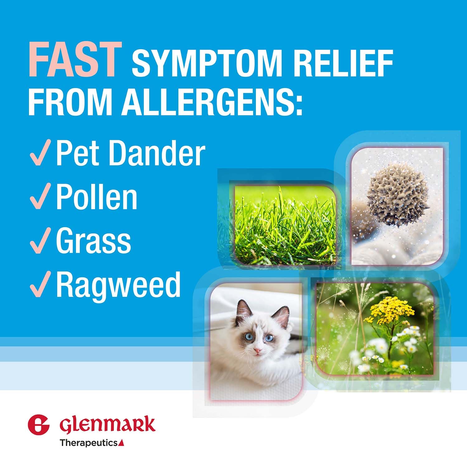 Emballage Glenmark Olopatadine montrant la boîte et la notice.