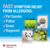 Emballage Glenmark Olopatadine montrant la boîte et la notice.
