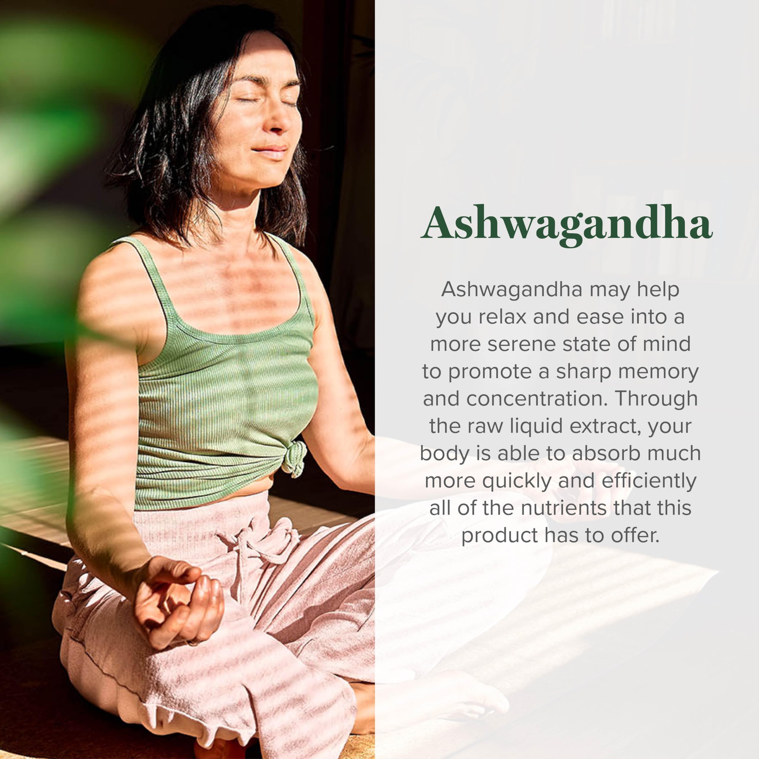 Global Healing Center Ashwagandha gouttes - bouteille: extrait racine pur et naturel.