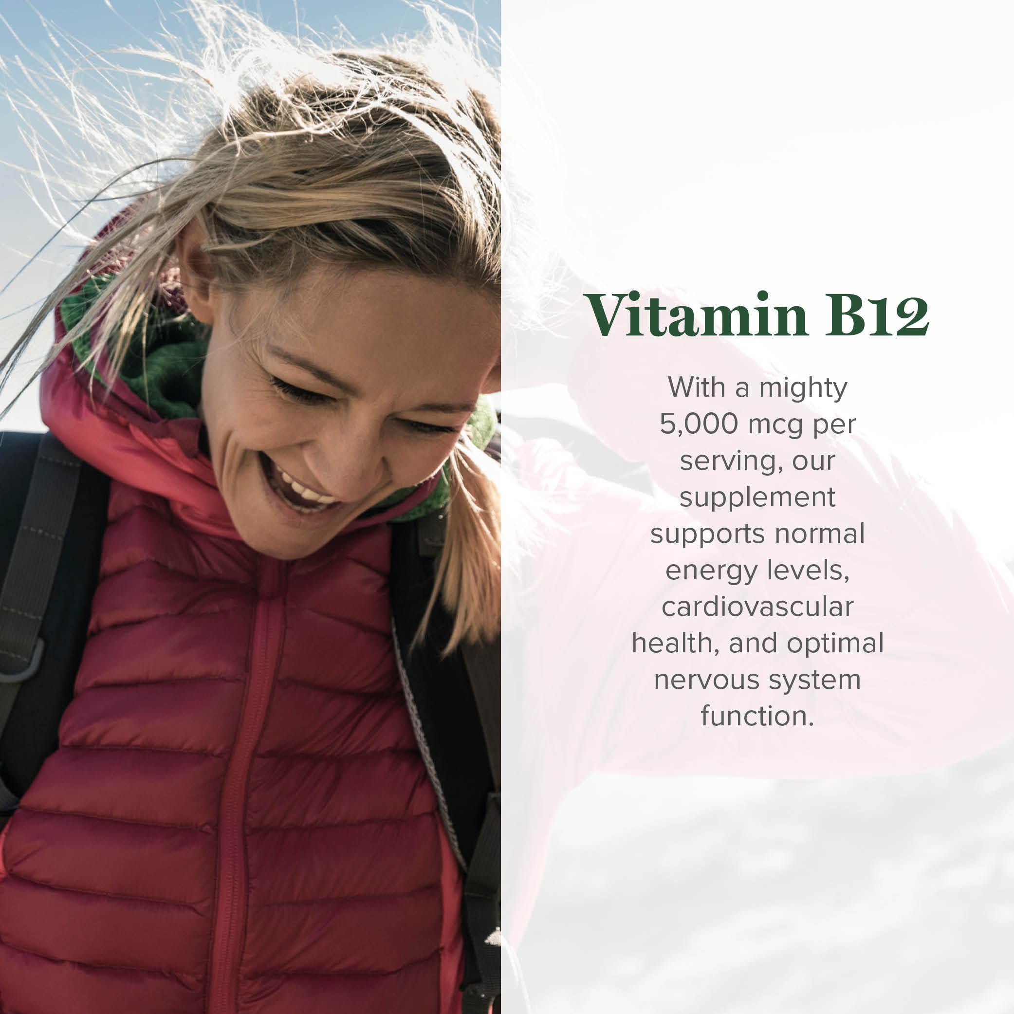Global Healing Center B12 Sublingual, gouttes faciles à prendre.