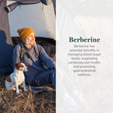 Flacon Berberine Global Healing Center; présentation pratique et dosage clair.