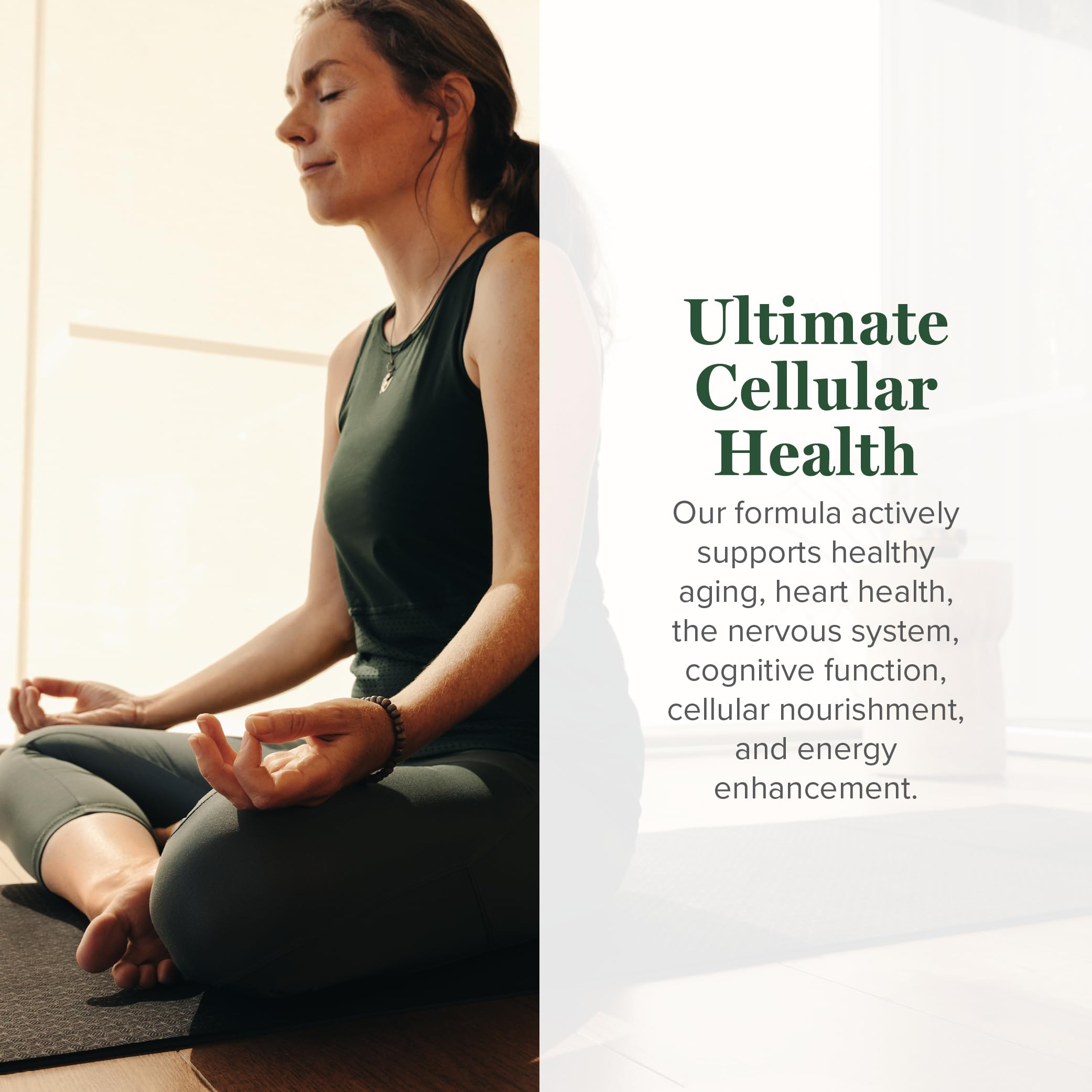 Capsules NAD Resveratrol de Global Healing Center pour le soutien potentiel à la vitalité.