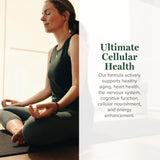 Capsules NAD Resveratrol de Global Healing Center pour le soutien potentiel à la vitalité.