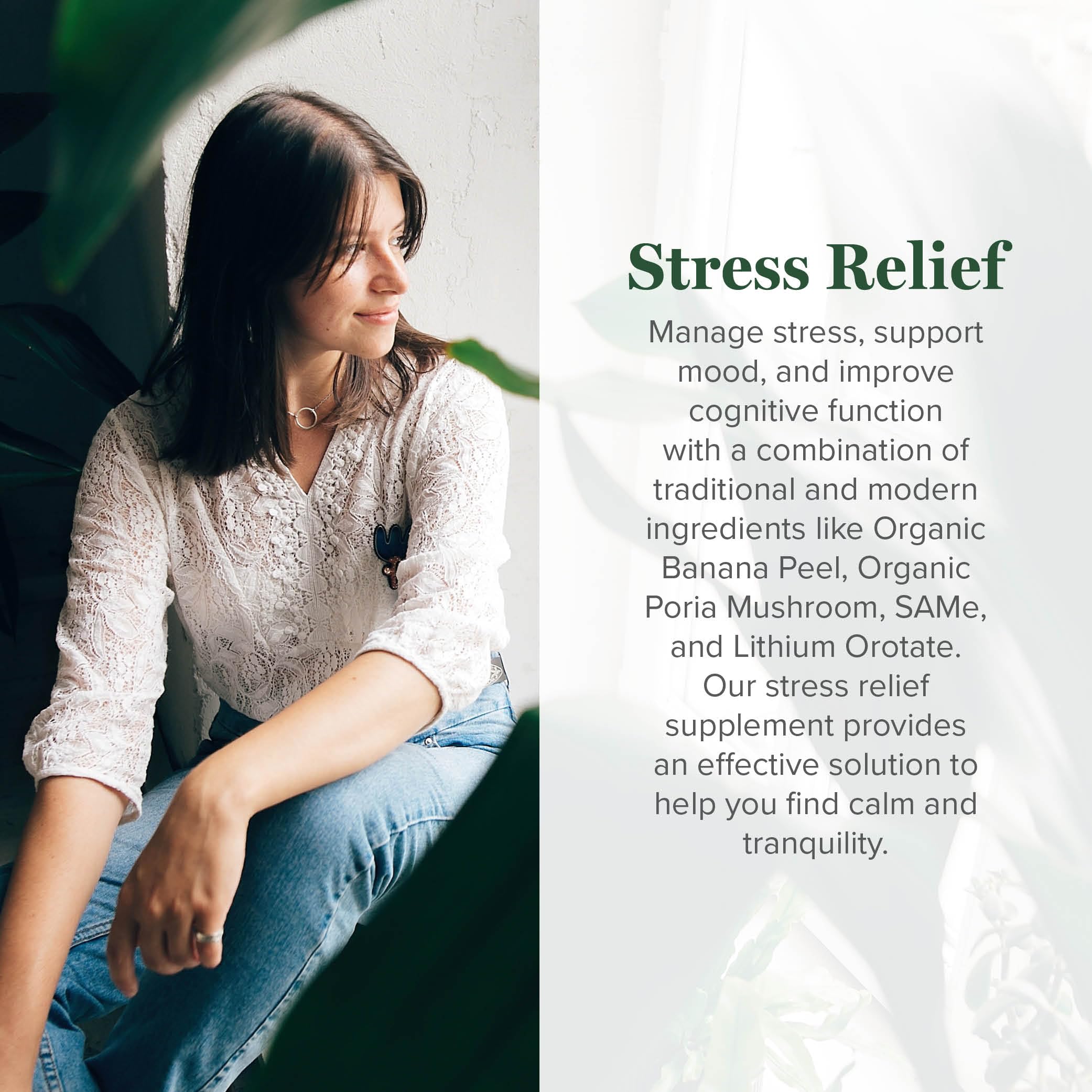 Global Healing Center Soulagement du Stress : tableau d'ingrédients montrant les synergies naturelles.