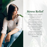 Global Healing Center Soulagement du Stress : tableau d'ingrédients montrant les synergies naturelles.