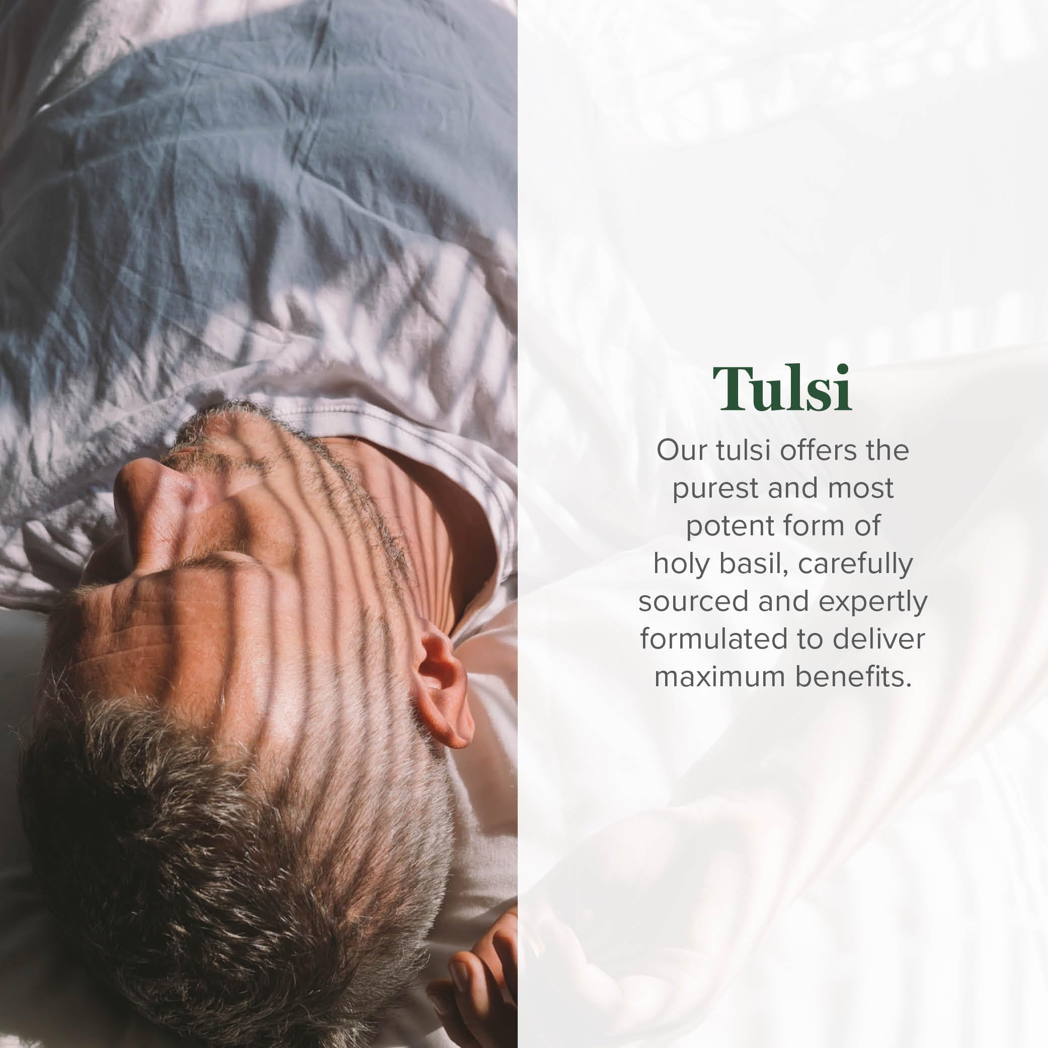 Global Healing Center Tulsi feuilles Basilic sacre bio, source naturelle et pure.