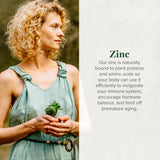 Global Healing Center Zinc Liquide – équilibre hormonal potentiel pour le bien‑être quotidien
