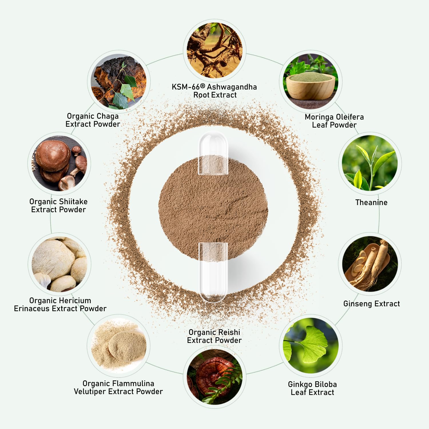 GlowEver Ginkgo et Ginseng – capsules, clarté mentale et concentration durable