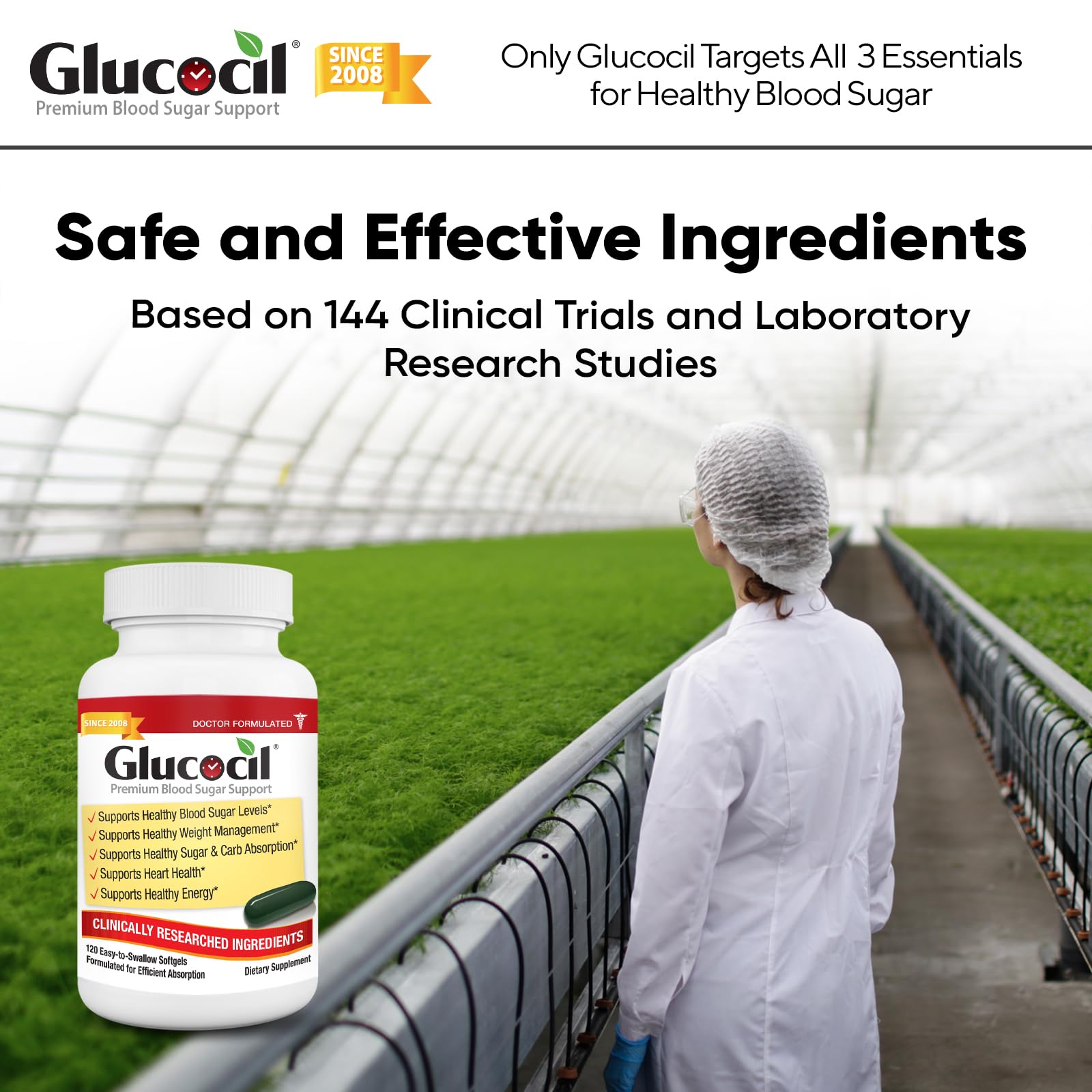 Glucocil, usage quotidien et soutien potentiel de la glycémie