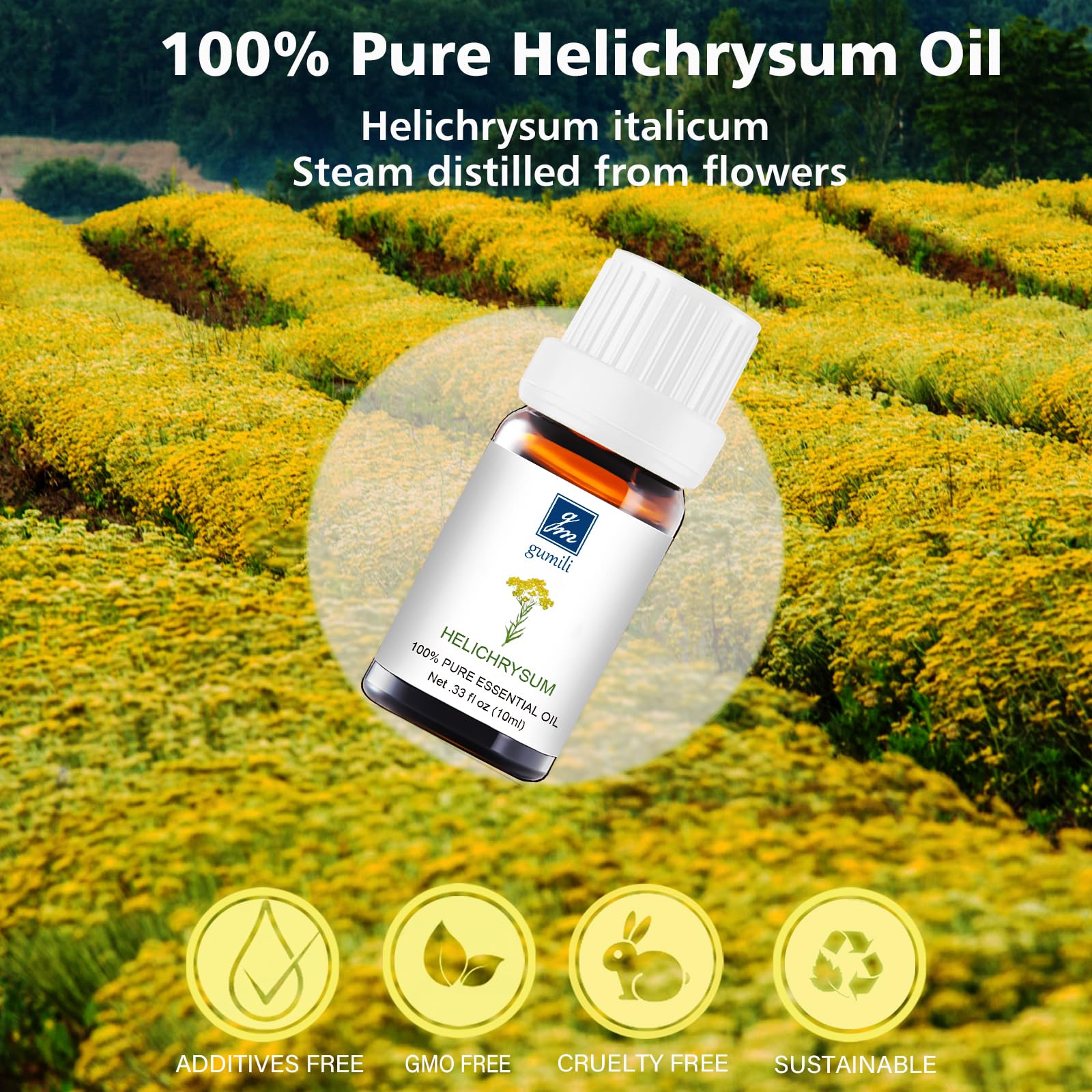GM Gumili Helichrysum – application visage pour éclat doux