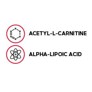 GNC Acétyl-L-Carnitine Alpha-Lipoïque, étiquette, sans sucre et sans arômes artificiels.
