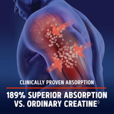 GNC AMP Creatine HCl 189 : soutien potentiel à la synthèse musculaire
