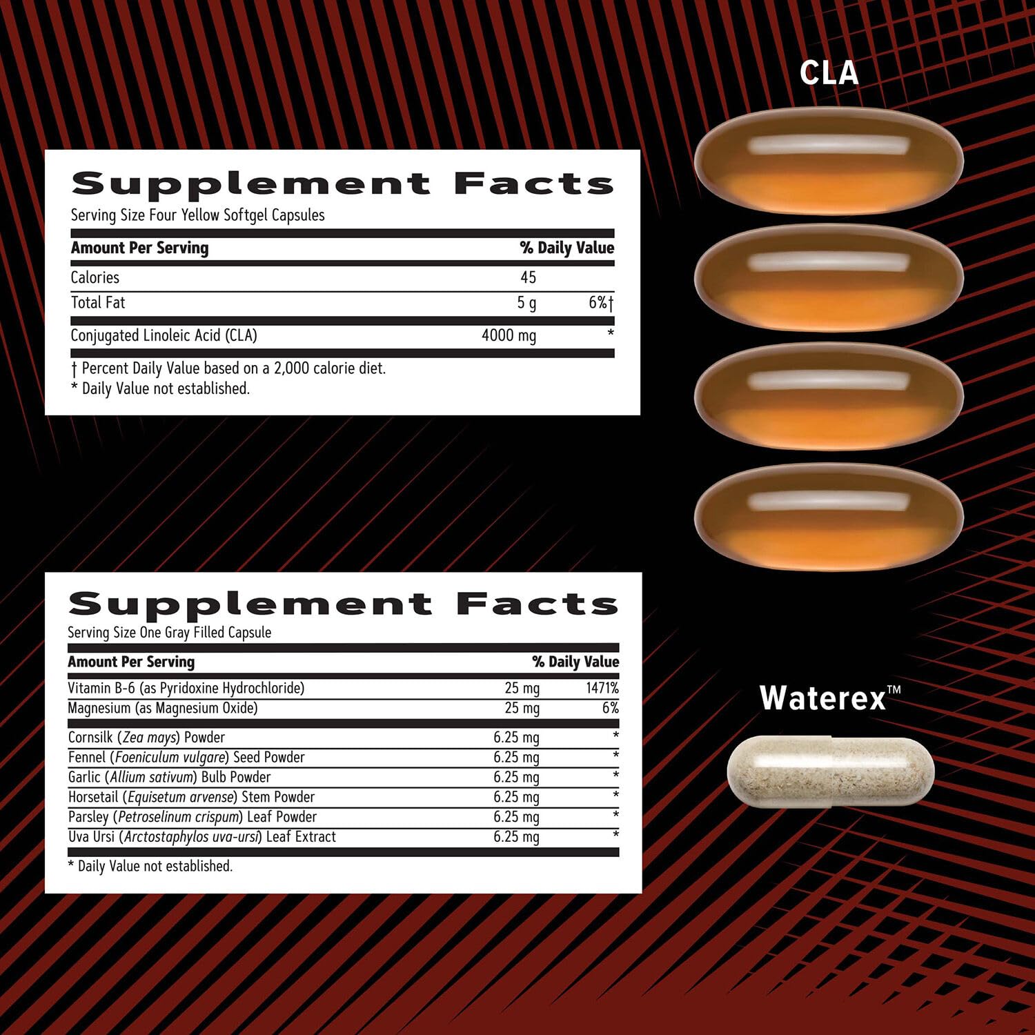 Guide d'utilisation GNC Vitapak déchiré, facile à intégrer dans votre routine.