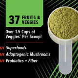 GNC Amplified Greens ICY Lemonade probiotiques DE111 soutenant le microbiome intestinal