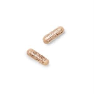 GNC Gentlesorb Fer 18 mg – Emballage sans additifs et sans allergènes.