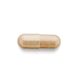 GNC Rhodiola – blister capsules visibles, dosage facile à lire.
