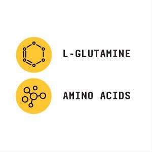 Poudre L-Glutamine GNC soutenant la formation musculaire après les séances.