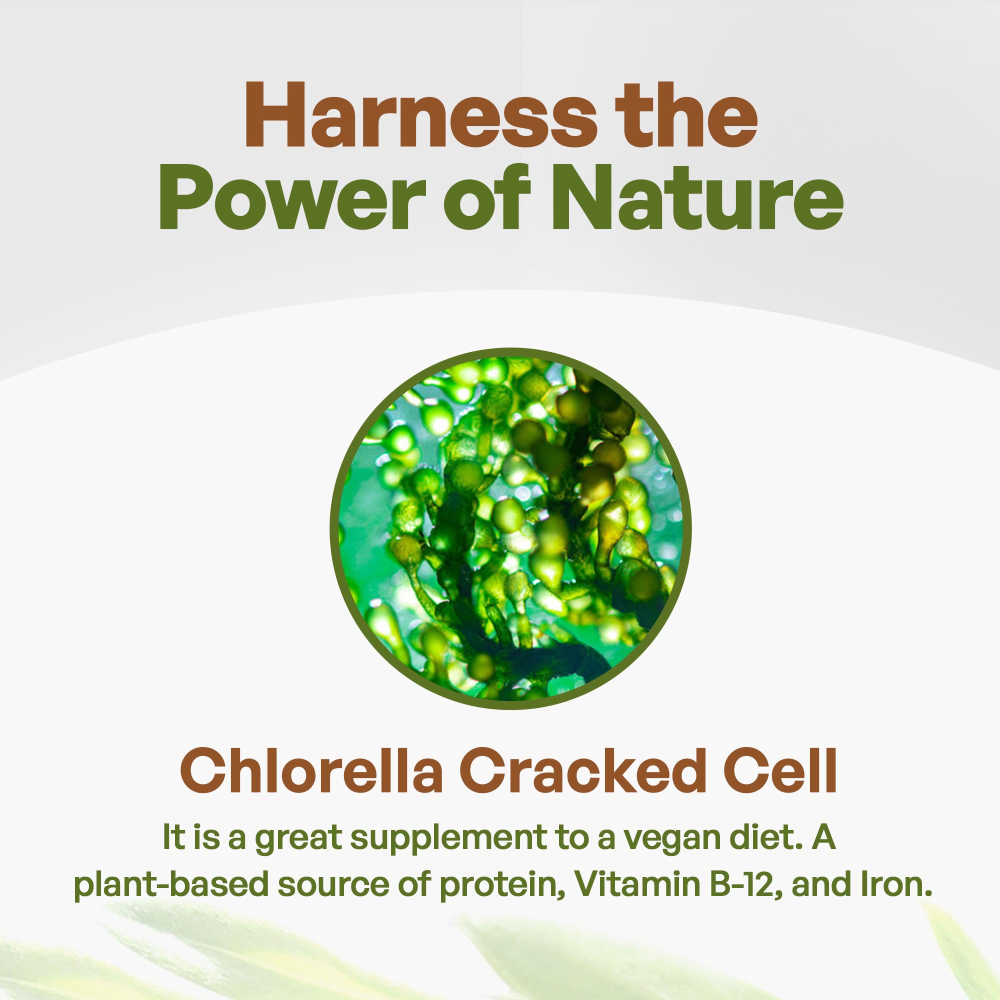 Go Nutra Chlorella scoop de mesure, dosage pratique pour smoothies.