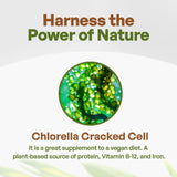 Go Nutra Chlorella scoop de mesure, dosage pratique pour smoothies.