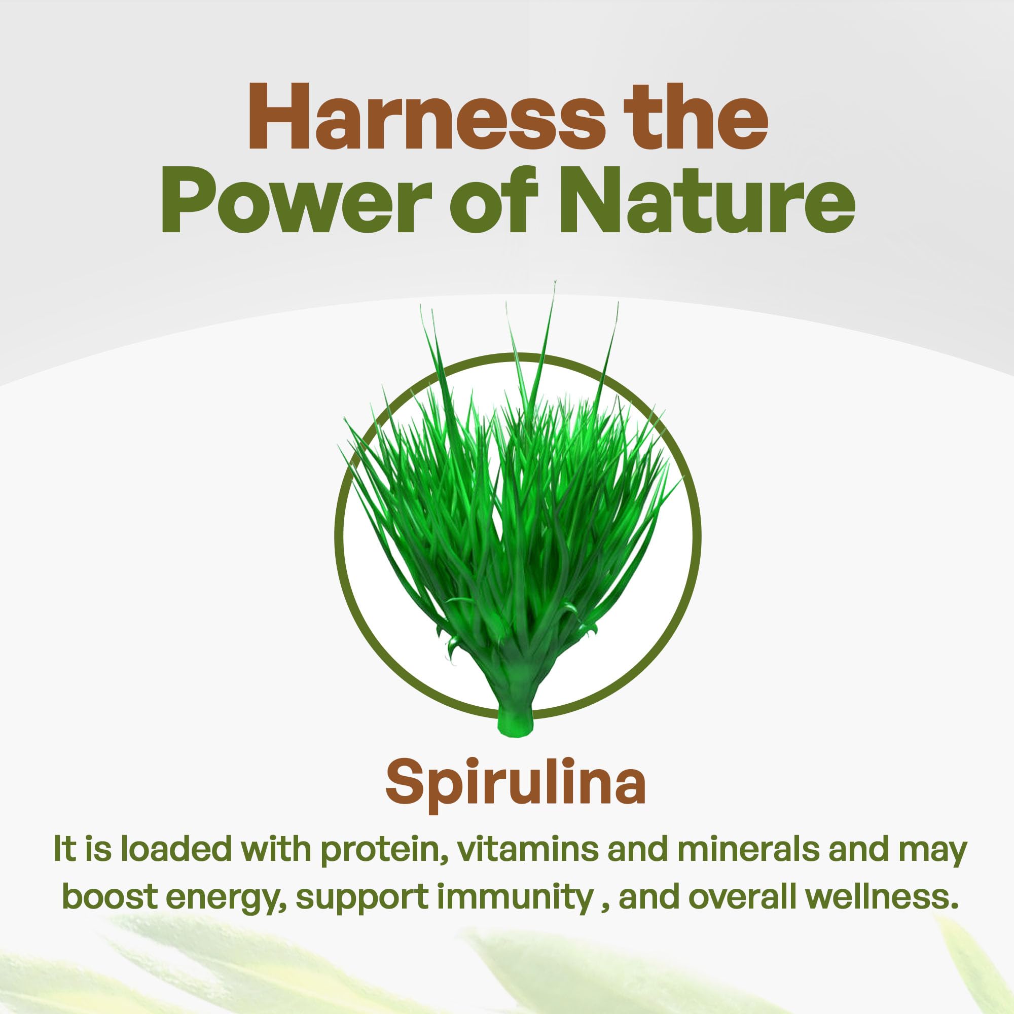 Go Nutra Spiruline dans une salade, ajoute des vitamines essentielles.