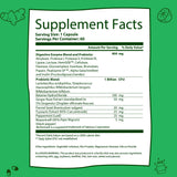 GoBiotix Digestive Enzymes – flacon pratique à emporter au quotidien