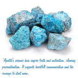 GolbalJew Apatite brut pierres deux pièces parfaites pour pratique spirituelle.