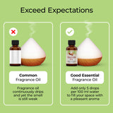Good Essential huile parfum tarte citrouille pour cadeaux faits maison.