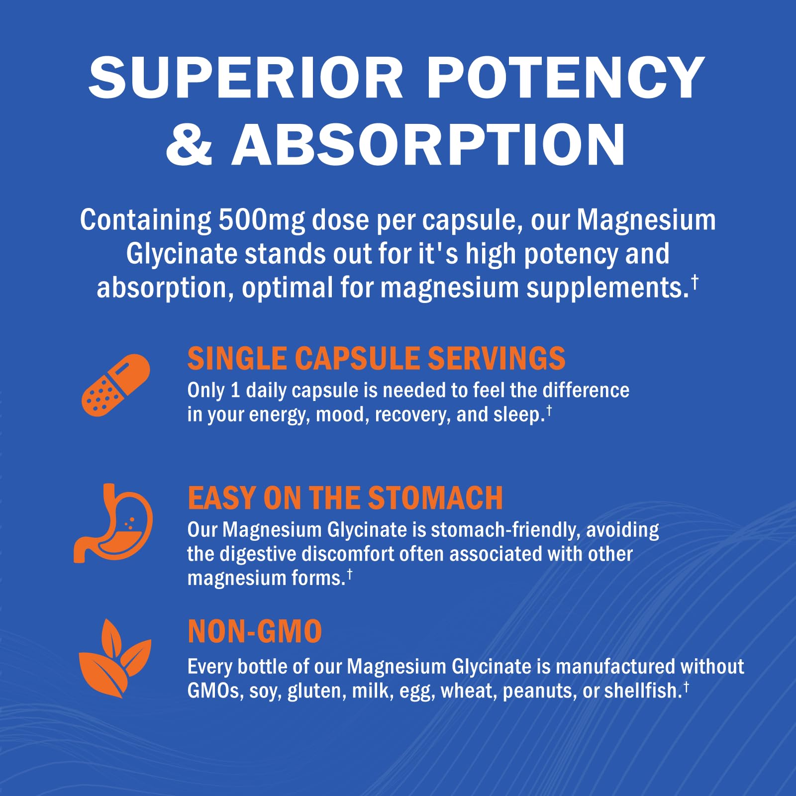 GOODBIO Magnesium Glycinate, étui élégant, soutien muscles et nerfs.