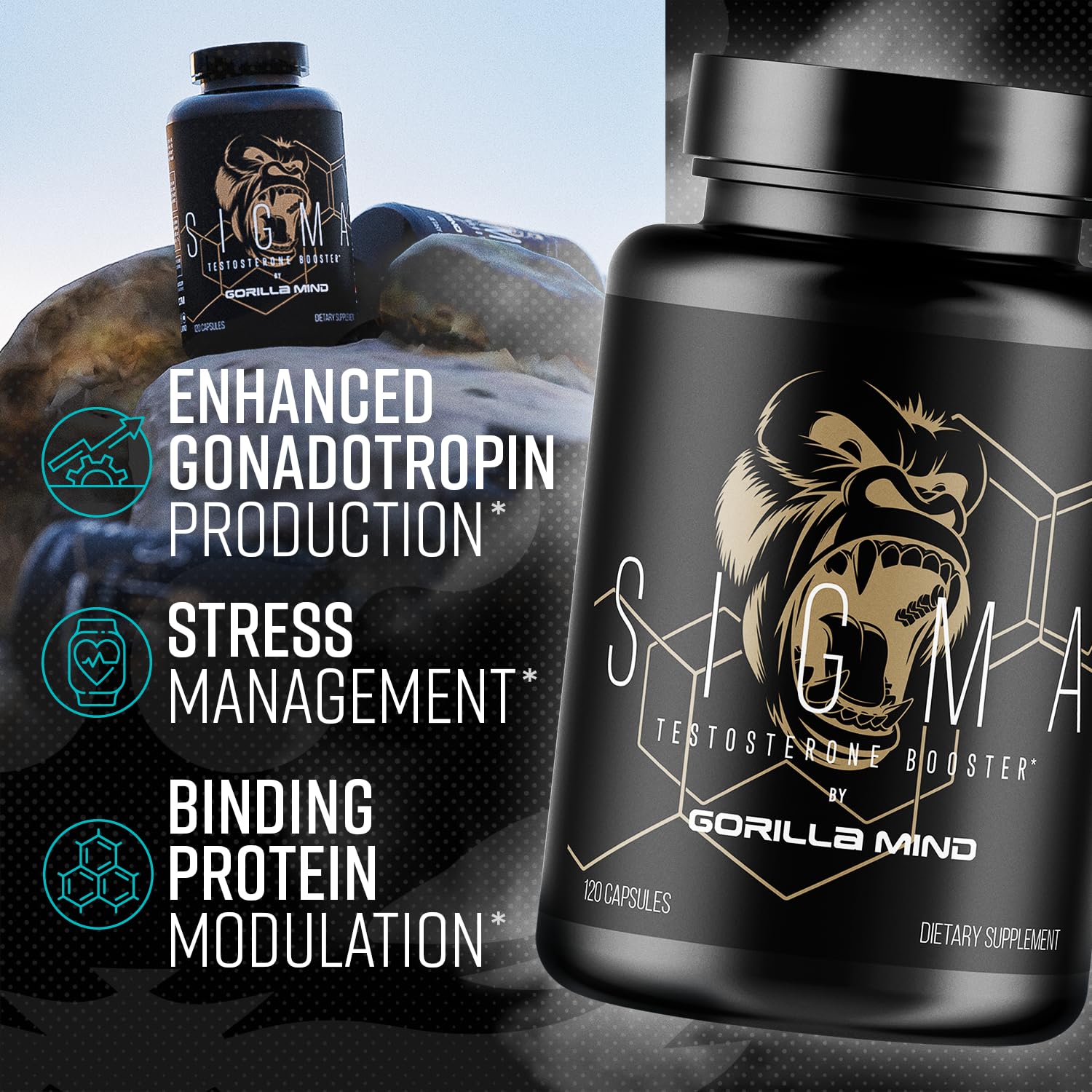 Gorilla Mind Sigma : Ashwagandha KSM-66, équilibre du stress et concentration