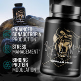 Gorilla Mind Sigma : Ashwagandha KSM-66, équilibre du stress et concentration