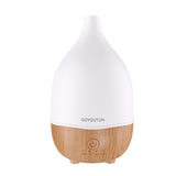 GOYOUTON diffuseur utilisation polyvalente en bureau et domicile