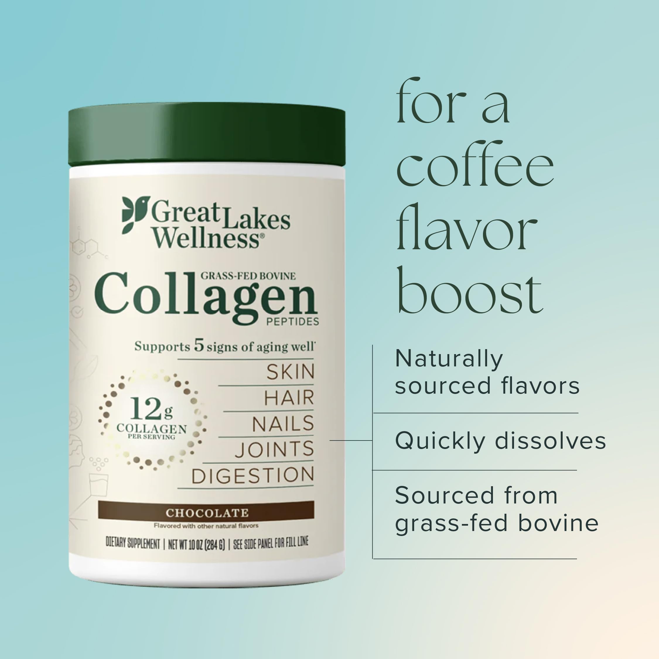 Great Lakes Wellness Collagen Peptides Chocolat – mélange dans lait ou yaourt pour texture crémeuse