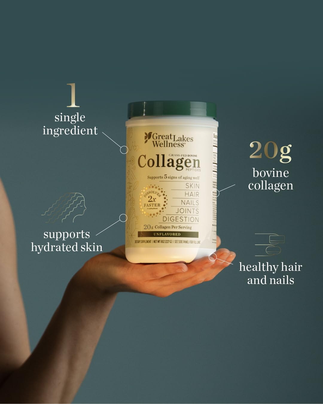Great Lakes Wellness Collagen Peptides Poudre – dissolution rapide dans boissons chaudes ou froides.